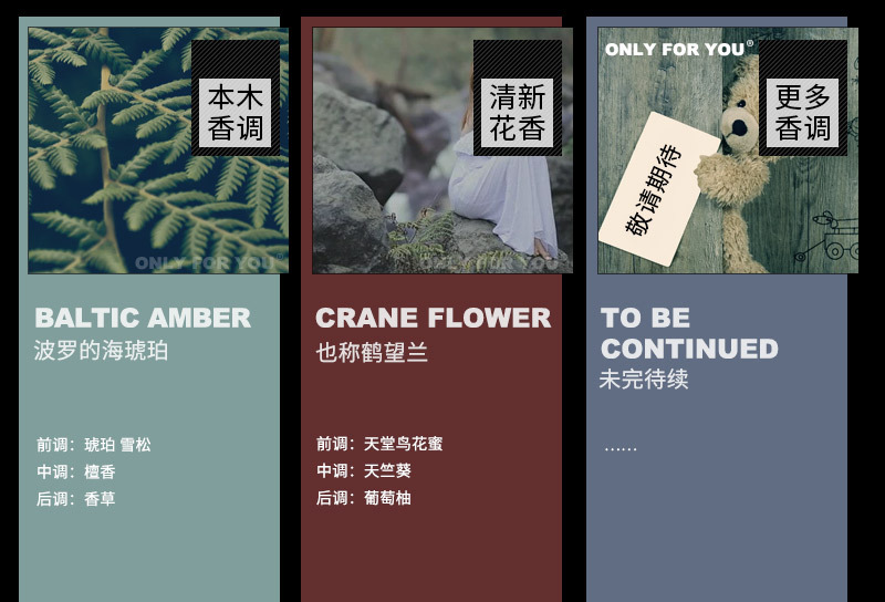 香味描述-竖长_11.jpg