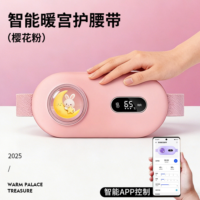 Cinturón transfronterizo de calentamiento del palacio calentado eléctrico de calentamiento del palacio calentado para mujeres durante el período fisiológico de calentamiento de calentamiento del palacio calentado para el palacio calentado para el casero