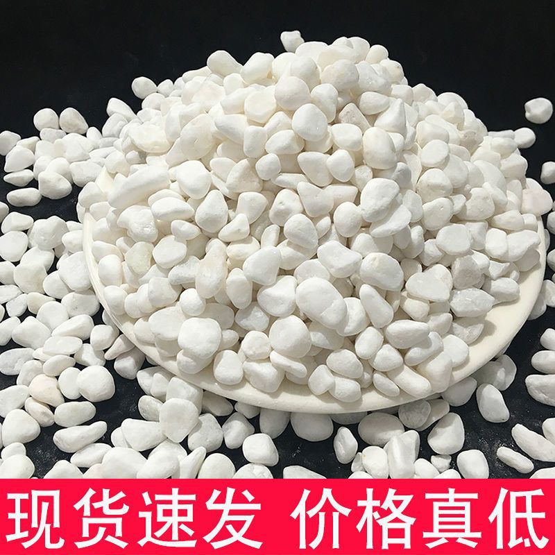 White Pebble white stone Pebble courtyard Garden Paving Flower pot Landscaping Paving Stone decorate