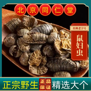���u��D�x��D�xҰ����D�x ���x ��ʭ��������ÈF���x��؛��؛