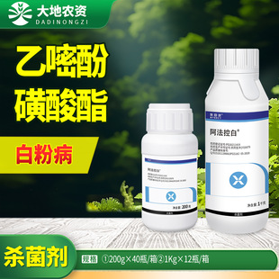 ������ �����ذ� 25%���׷ӻ������S�ϰ׷۲��r���rș������200g