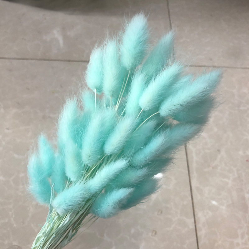 라이트스템 블루래빗테일 60개입