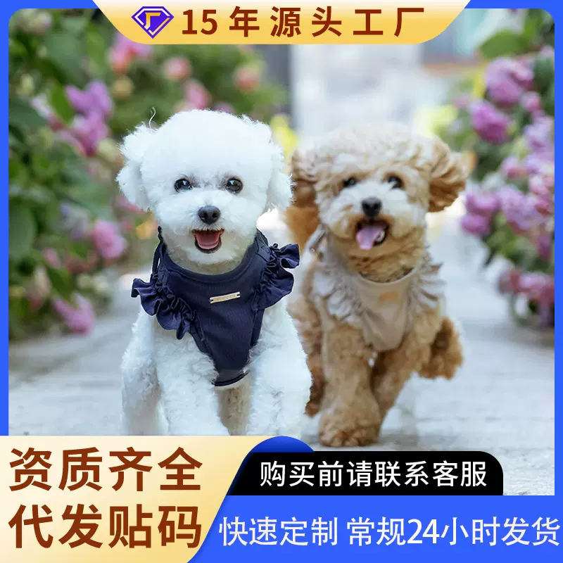 跨境户外春夏小飞袖狗狗胸背带牵引绳两件套中小型犬透气狗狗背心