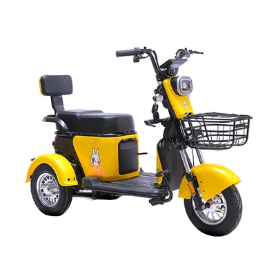Household Electric Tricycle – Dingzhi Auto Parts and Accessories