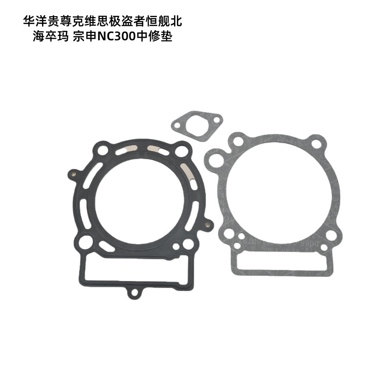 Ready-Stock Motorcycle Parts Suitable for Huayang Guizun Hengjian Beihai Zuoma Zongshen Nc300 Dual Cam Cylinder Kit