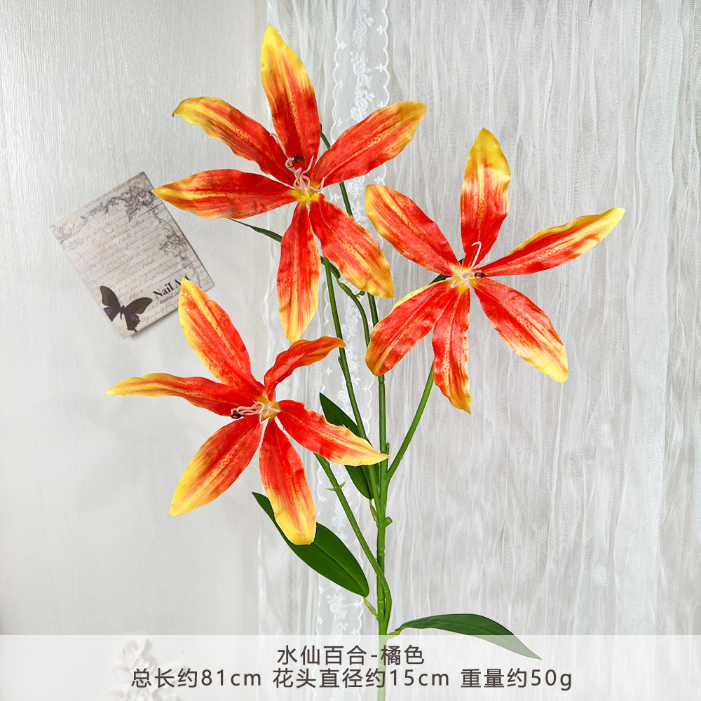 YG-Narcissus Lily-Cam