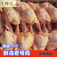 ���r�����ĸ�uɢ�B���u�të�u��̭���u21������