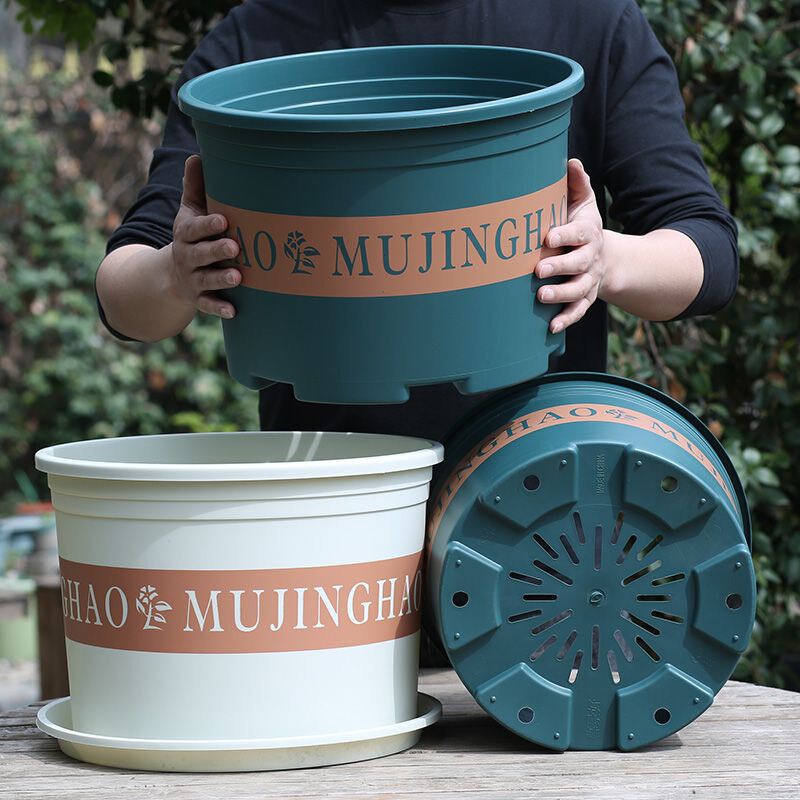 Oversized Chunky Gallon Basin Thickened Super Thick Short Gallon Basin Chunky Large Caliber White Third Generation Root Controlled Breathable Basin