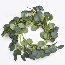 �����ȼ����ٗl ��Y�b��������Gɫֲ���������~�ȼ����ٗl