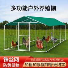 养殖鸡棚鸡笼室外防水兔笼鸽子笼家禽防雨笼子搭建简易鸡舍养鸡