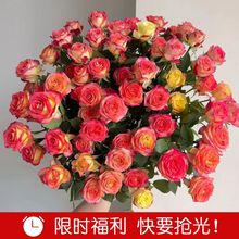 泡泡小玫瑰蔷薇小玫瑰泡泡鲜花花束情人节云南基地直发插花
