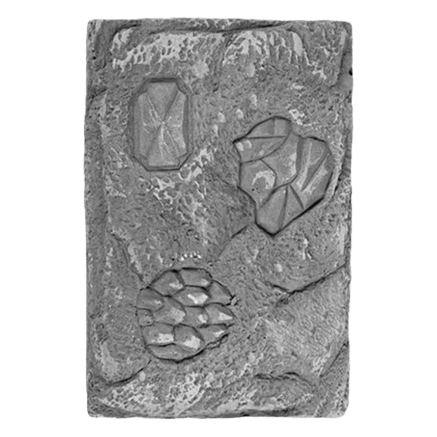 Археологические раскопки Небольшая площадь Раскопки Гипсовый блок Детская Слепая Коробка Трансграничный гипсовый блок