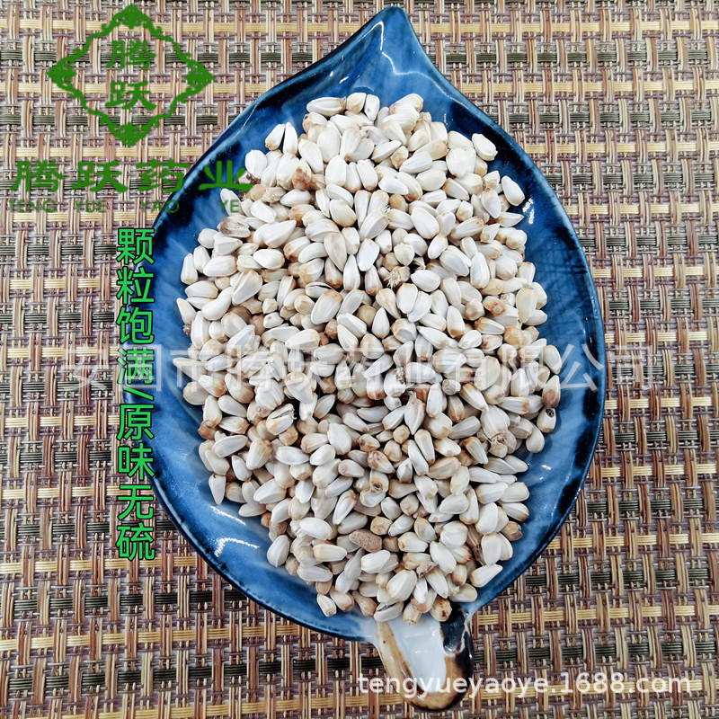 Safflower Seeds Hong Hua Zi Whole Raw Herb for Decoction and Culinary Use Sold by Weight quality and texture