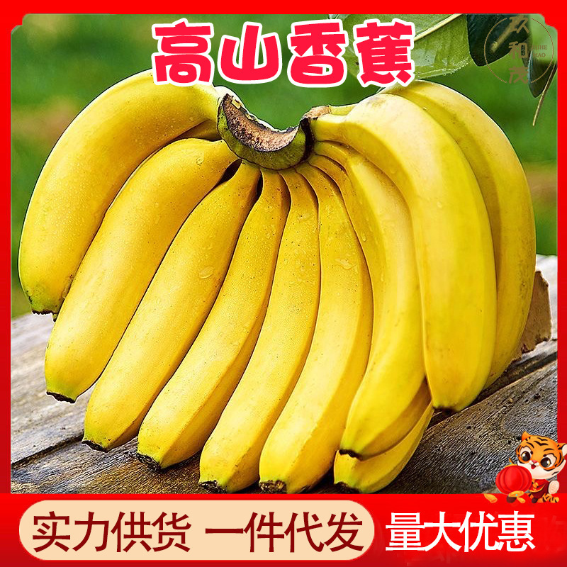 Authentic Williams Bananas 4.5kg Whole Box Fresh Seasonal Fruit Wholesale with Free Shipping 2.5kg Guangxi Alpine Large Plantain