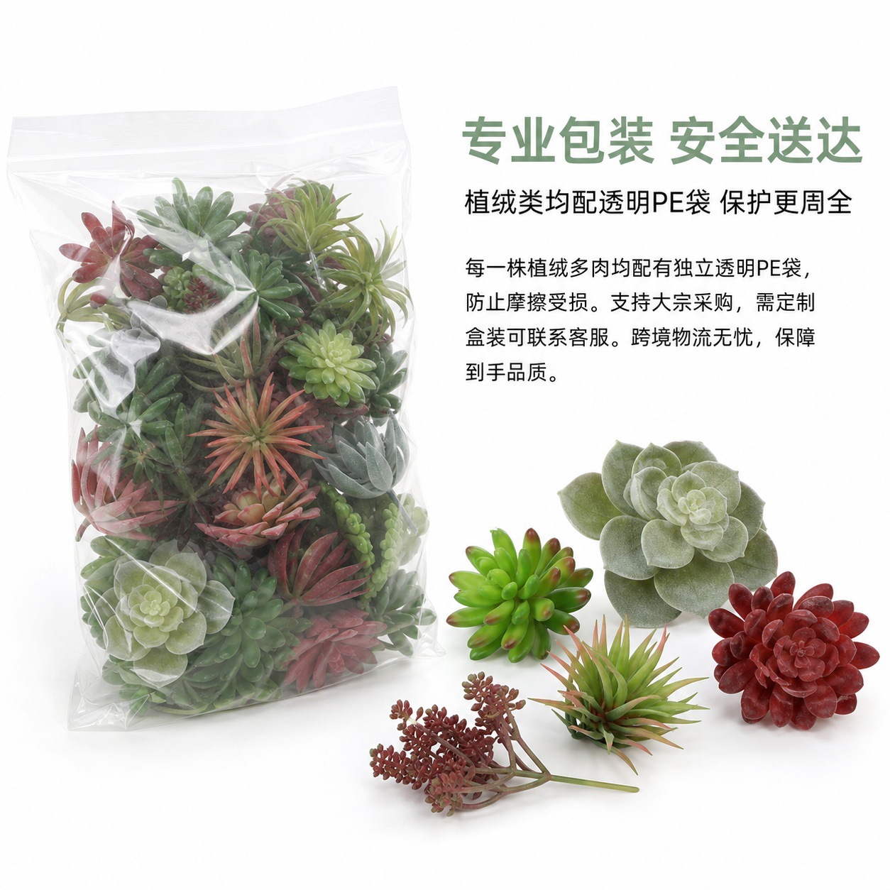 6101多肉详情页 (11).jpg