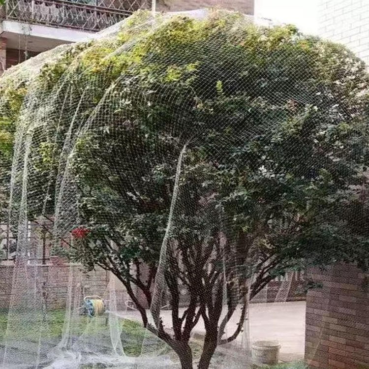 果树专用防鸟网樱桃树葡萄蔬菜防护罩尼龙网网罩果子防鸟网子