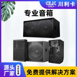 专业高端音响500W800W大功率音箱学校会议室功能厅专业系统设备