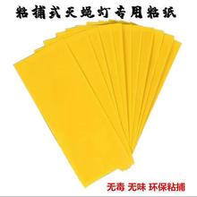 LlճճxnωNճωωωճʽß͏d