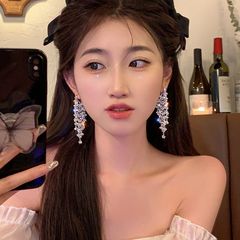 水晶流蘇皓石長型重工イヤリング気質ネット赤誇張耳飾り女性感デザインイヤリング女性