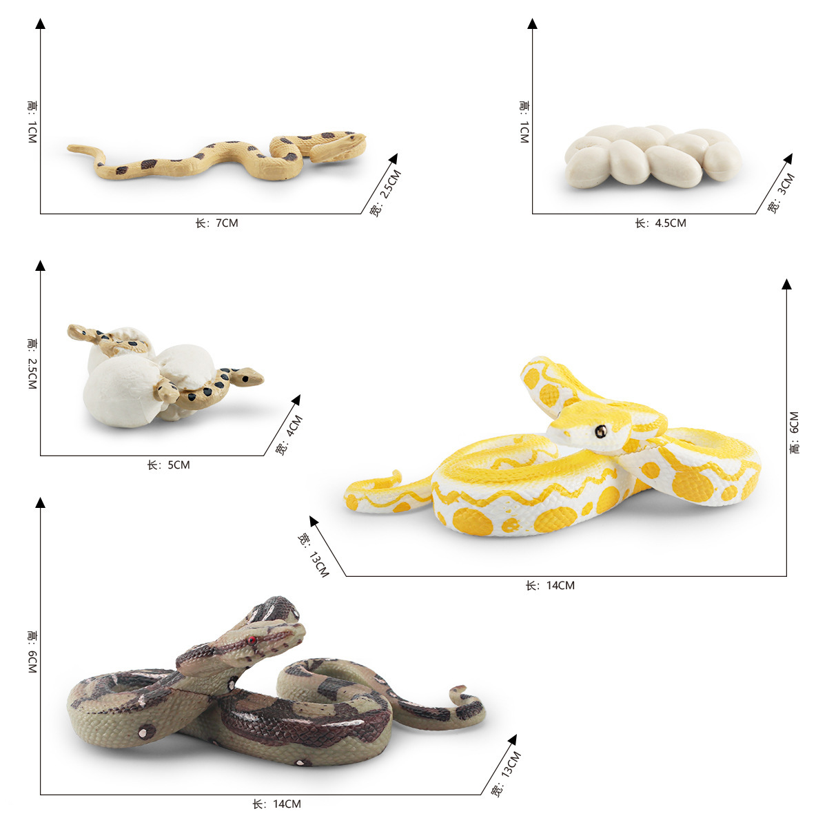 Simulación transfronteriza bosque animal Python modelo de ciclo de crecimiento Birmano Python ciruela flor Python proceso de crecimiento decoración juguete