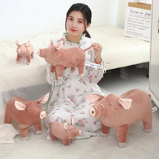 �羳�ɐ۷����ië�q���С�i��ż�����޹���˯�X�������ބ���YƷ