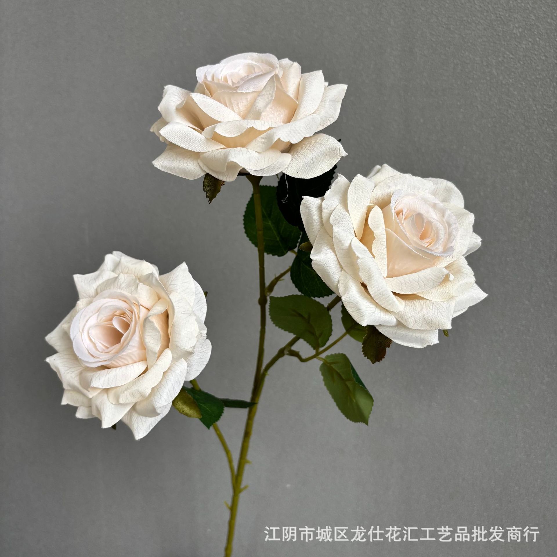 리치 로즈 카키 화이트
