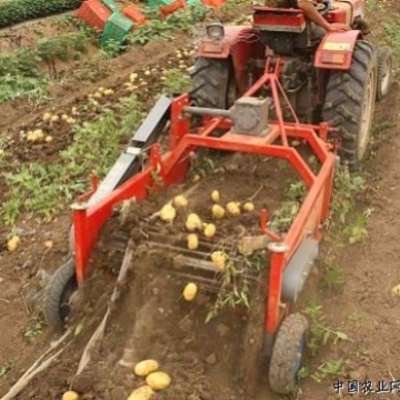 地瓜收获机    单行土豆收获机   拖拉机悬挂马铃薯收获机