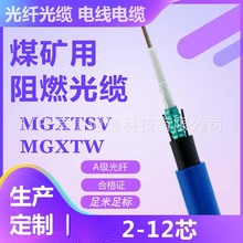 MGXTSV-6B1ú�V���z�bͨ�Ź��| 6о��ģ�V�÷������|MGXTW-6B1