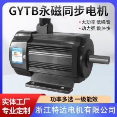 メーカー卸売り大馬力永久磁石同期インバータモータ高速全周波数機械交流モータ