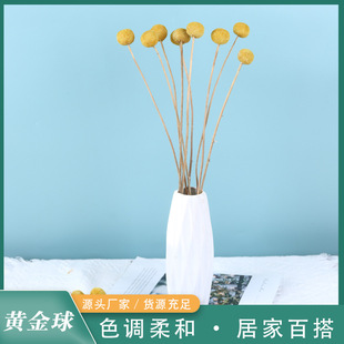 ����S����ɻ�ins�L�����Ҿ��b[���廨�滨�Ĕz���߬F؛���l