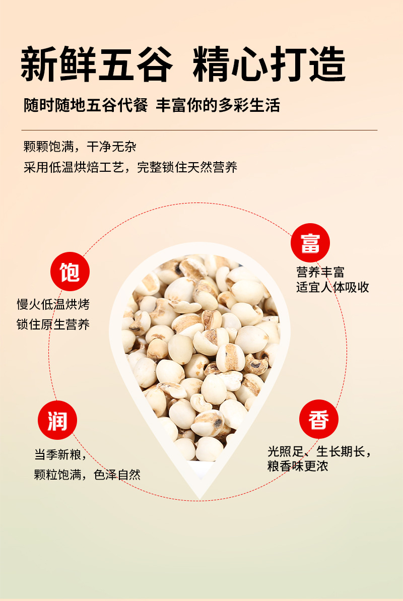 Roasted Coix Seed Yi Yi Ren 薏苡仁 Dried Job's Tears for Tea Soup and Grinding quality and texture