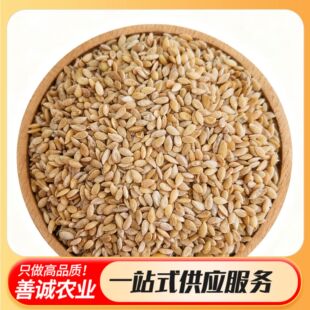 ���x��؛ �����ʰ�����ș�� ��ș��Դ�^�a�����l