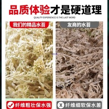 ���������mˮ̦��ˮ̦�F�ݺ�̦�\ֲ���B�m��ʯ���I�B���|��