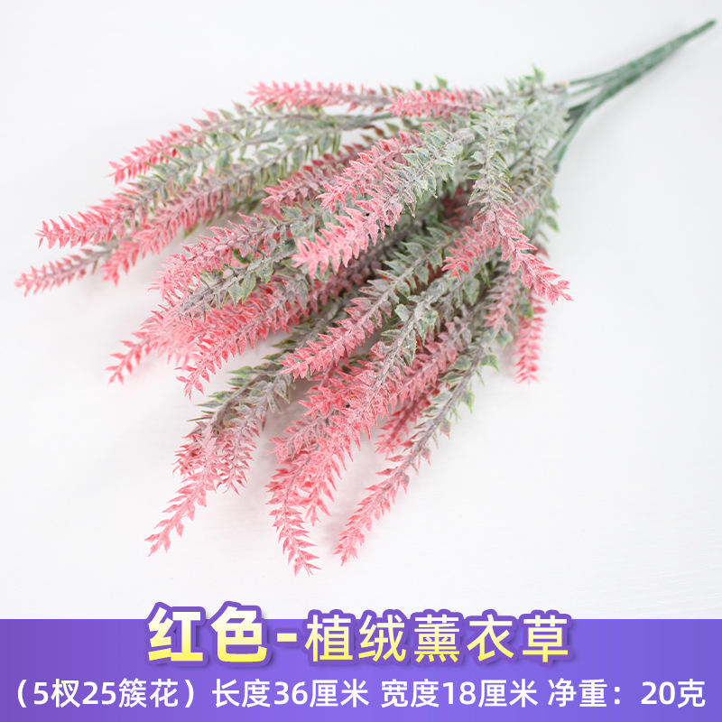 Lavanda flocada roja