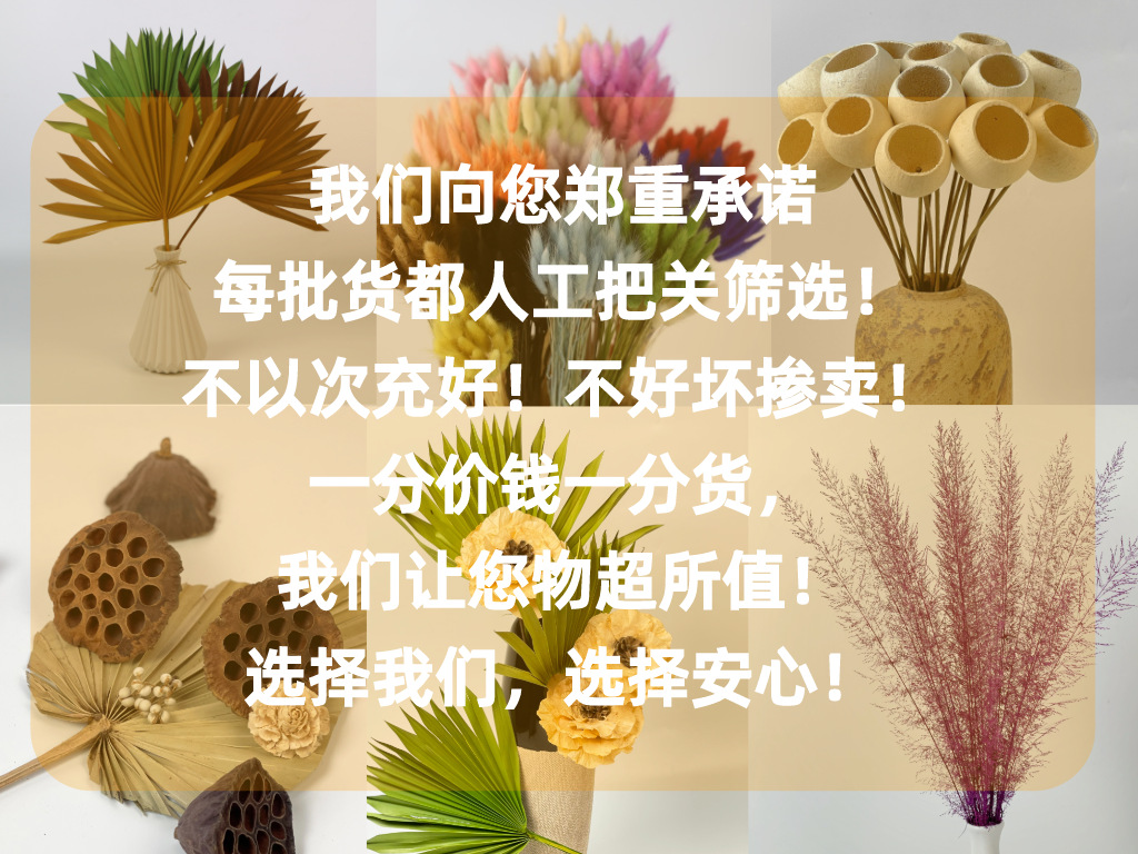 88c94ae8-da1b-4007-9893-39a5d5