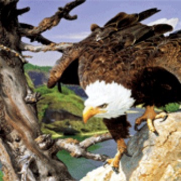 【，3D卡片，变动变异卡温州三维立体名片厂