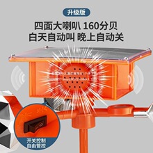 ��B����2025���¿����̫����L���Z�����@�r����B�s�B���B��