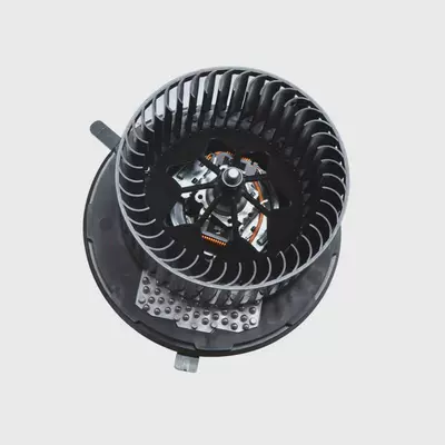 Fan Octavia Haorui Supai Touguan New