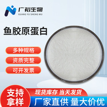 深海鱼/罗非鱼  鱼胶原蛋白肽粉 水解蛋白  速溶小分子肽原料