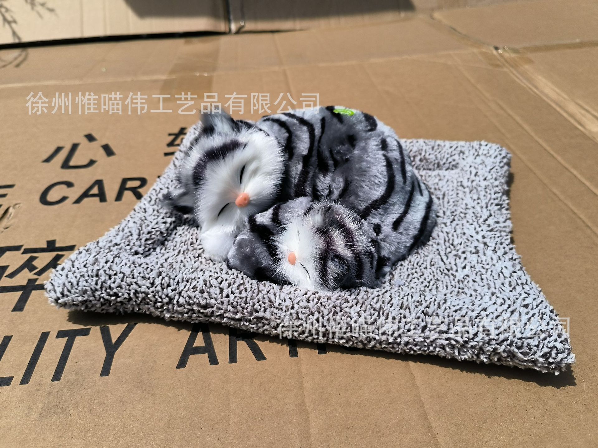 Madre e hijo, gato de castor verde dormido + cabello gris