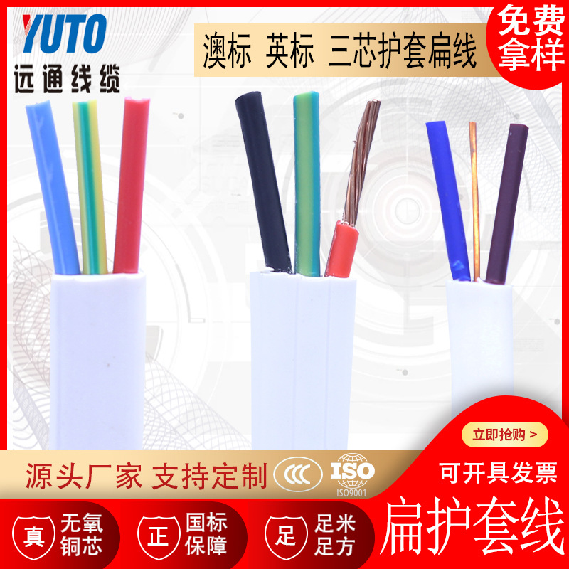 【出澳洲】 三芯护套扁线 澳标 2Core+earth 英国BS标准