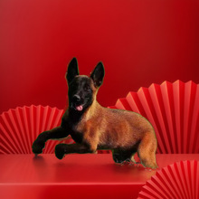 ���N�pѪ�y�RȮ��Ȯ���w��Ȯ����Ȯ���t��Ŀ�RȮ�����oԺ����Ȯ