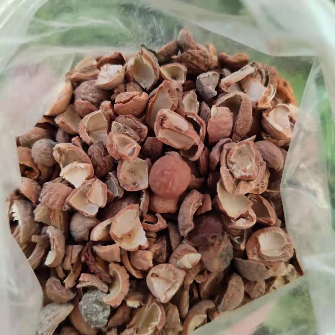 ˮù ӡˢѭˮ˹ ұˮù