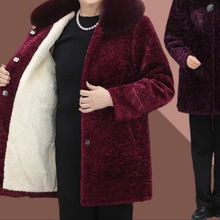 ��̫̫������������Ů�b���b�����b�ﶬ����q���¼ӽq�Ӻ�ë�I