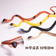 �羳�¿�S�η��������M��ߐ����������M��һ��������z���R��