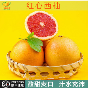 �V�ݽ������lֱ�l����S���t������ ���r�ЋDˮ���t������������