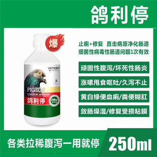 Pigeon Li Stops Pigeons from Having Loose Stools, Watery Stools, Green Stools, Yellow and White Stools, a Complete List of Non-Pigeon-Specific Antibiotics for Salmonella