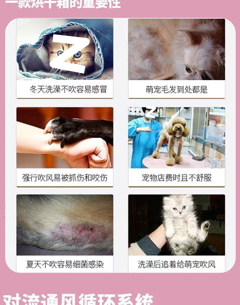 9c2eac6d-9401-44a9-b775-58ca2462155d.jpe