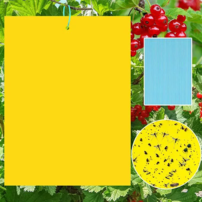 Липкая ловушка для насекомых, двусторонняя желтая ловушка для белокрылых насекомых, сороконожек, летающих насекомых, ос, плодовых мушек, для сада, теплицы, растений