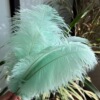 35-40cm ostrich hair DIY feather wedding feather stage home window decoration feathers